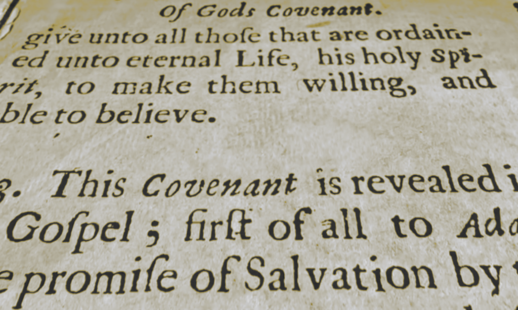 La Théologie de l'alliance : une bibliographie baptiste.